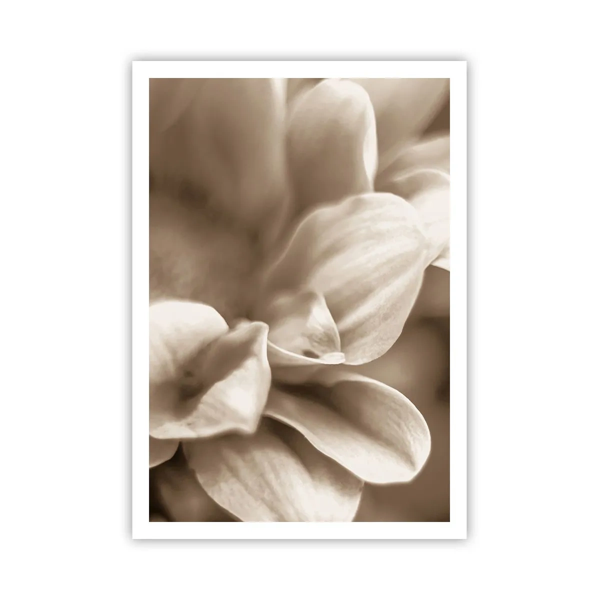 Pôster - Gentil como um sorriso - 70x100 cm