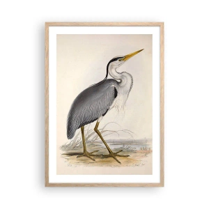 Pôster com moldura de carvalho claro - Graça de garça - 50x70 cm
