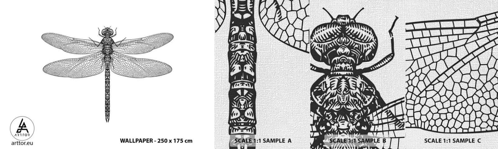 Amostra de papel de parede Premium Canvas - Precisão da natureza - Libélula, Inseto, Minimalista - 100x30 cm