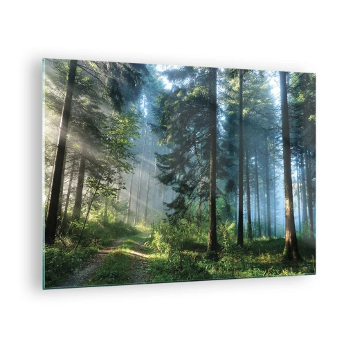 Quadro em vidro - Um caminho na floresta na névoa da manhã entre árvores altas - 70x50cm - Radiante de manhã - Decoração de parede moderna para a sala de estar e quarto ARTTOR