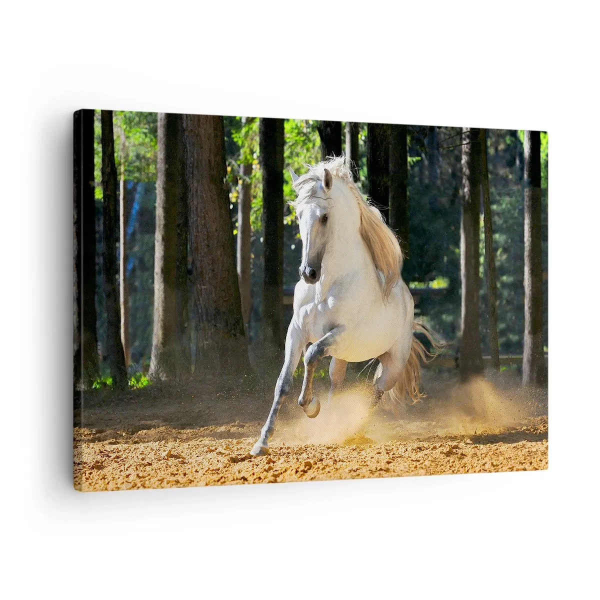Quadro em tela - Um cavalo branco galopando por uma clareira na floresta - 70x50cm - Como de um romance de fantasia - Decoração de parede moderna para a sala de estar e quarto ARTTOR