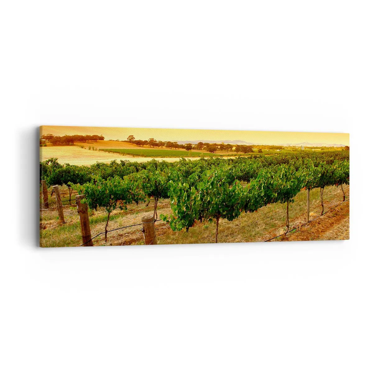 Quadro em tela - Sede de sol - 90x30 cm