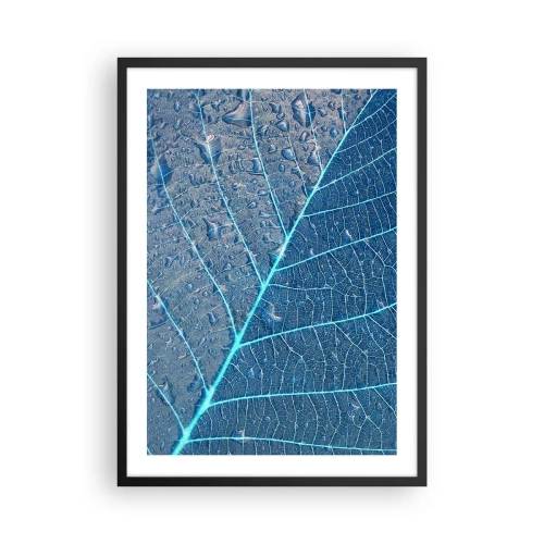 Pôster com moldura preta - Close-up de uma folha em tons de azul - 50x70cm - A vida em azul - Decoração de parede moderna para a sala de estar e quarto ARTTOR