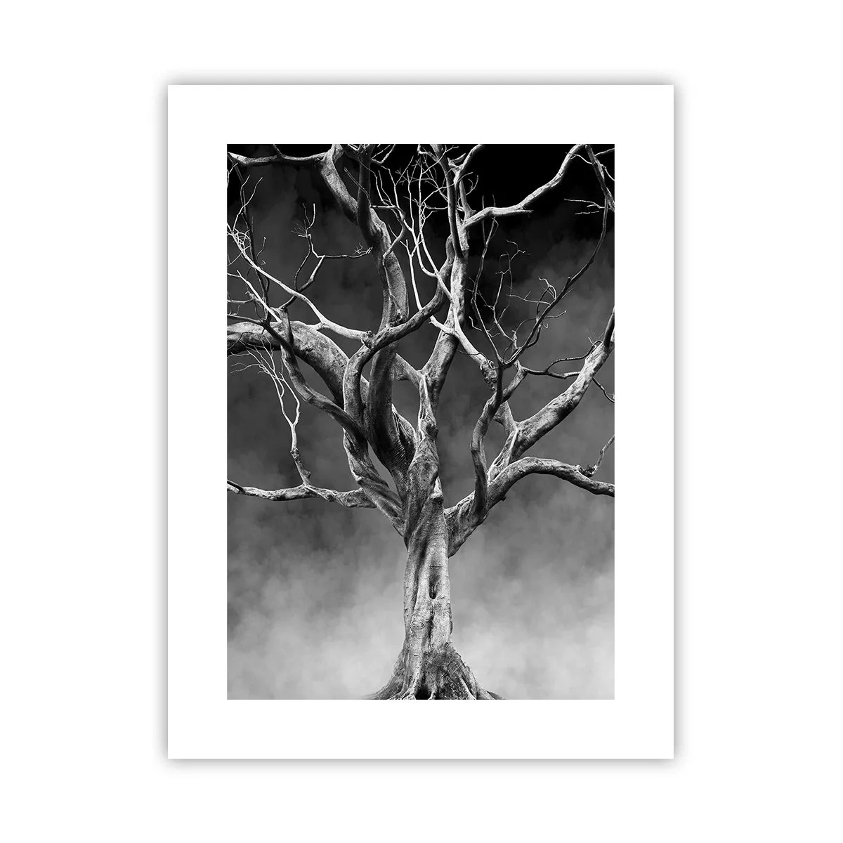 Pôster - Primitivo e sagrado - 30x40 cm