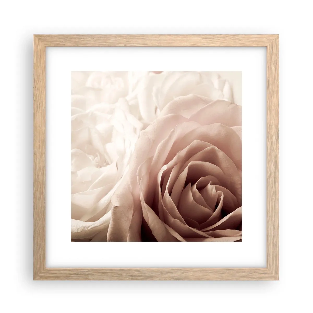 Pôster com moldura de carvalho claro - No coração de uma rosa - 30x30 cm