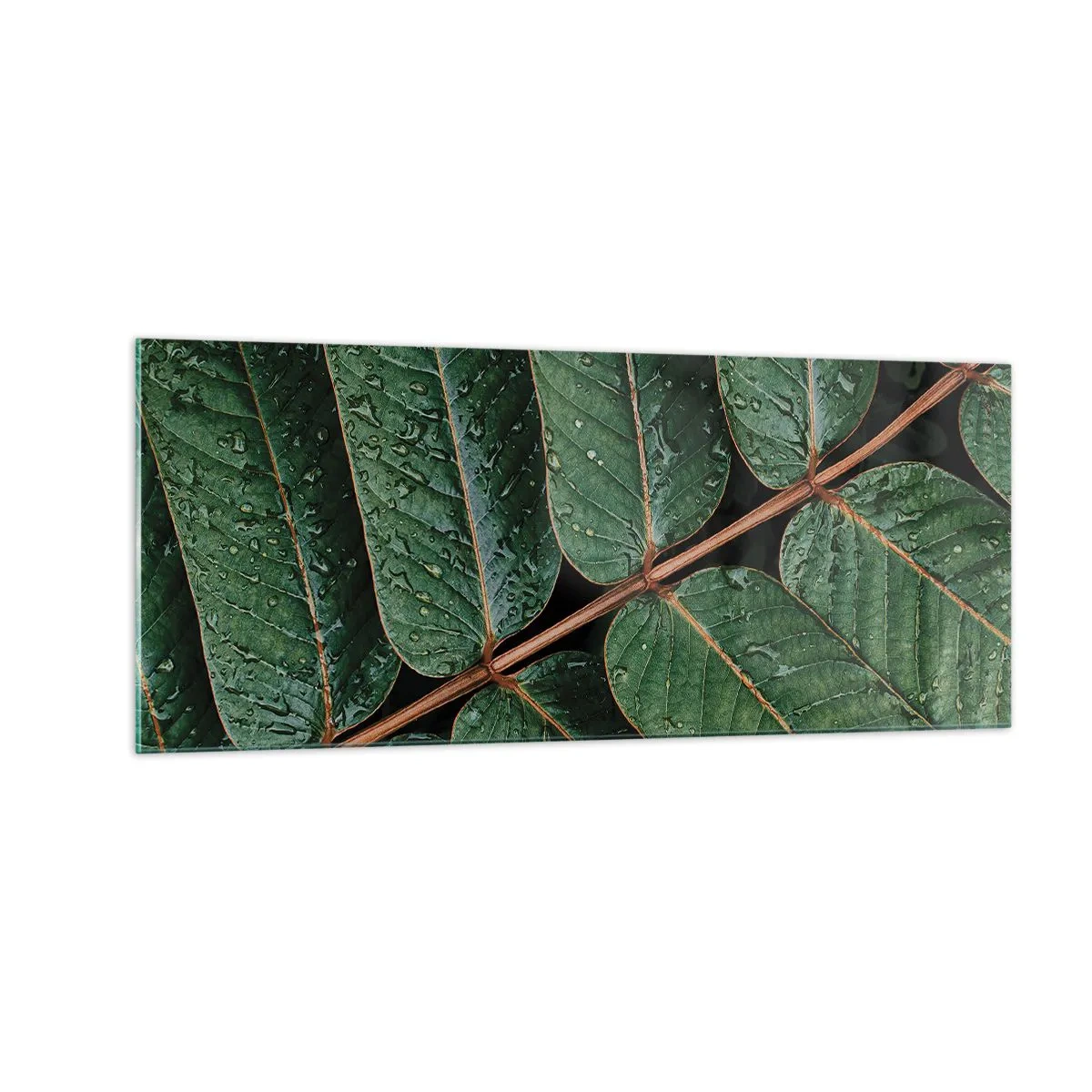 Quadro em vidro - Num ritmo verde - 100x40 cm