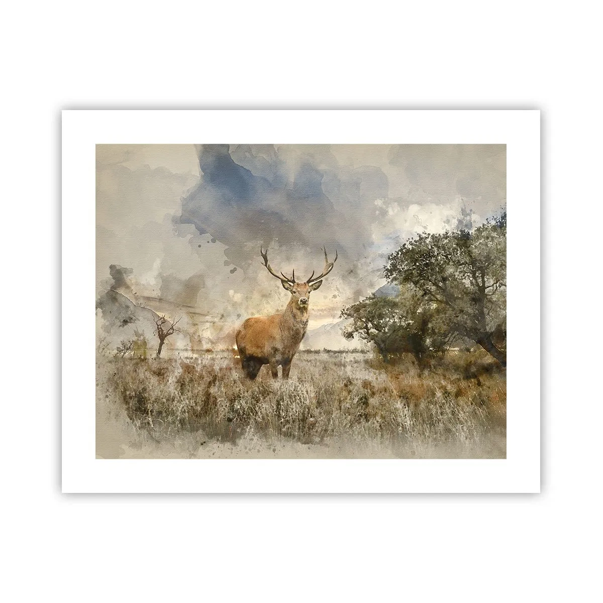 Pôster - Dignidade - força - dignidade - 50x40 cm