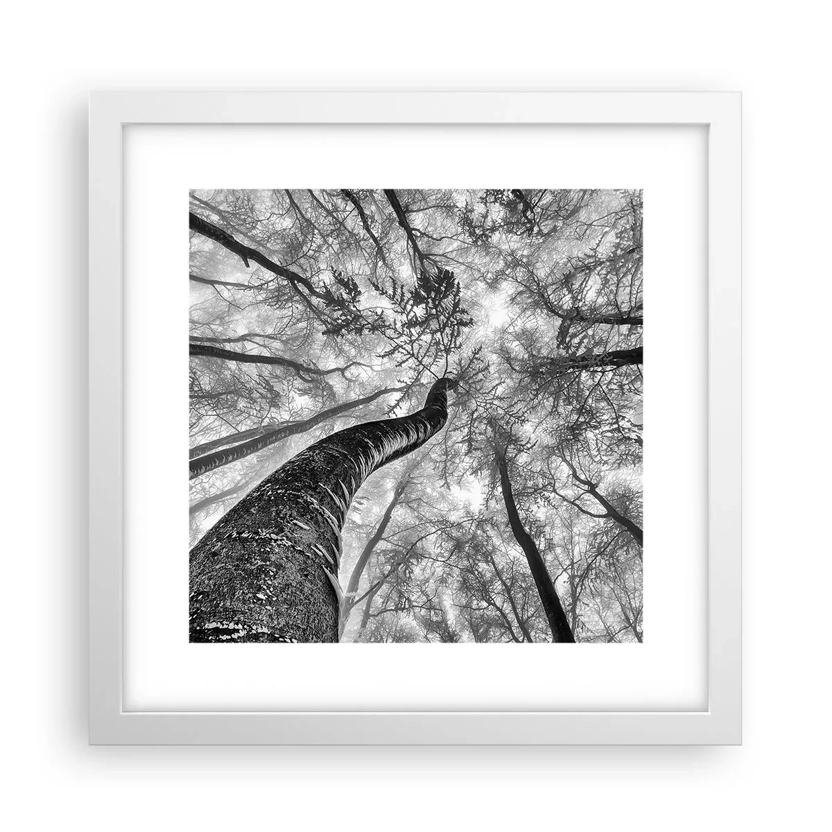 Pôster em moldura branca - Corrida até a luz - 30x30 cm