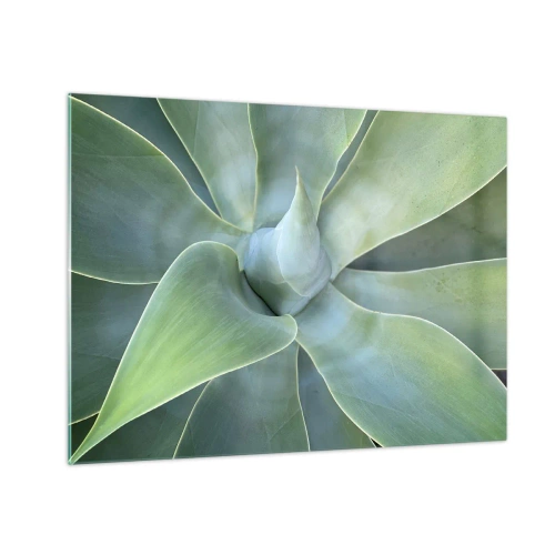 Quadro em vidro - Fotografia macro de uma planta verde com folhas espirais - 70x50cm - O nascimento da vegetação - Decoração de parede moderna para a sala de estar e quarto ARTTOR