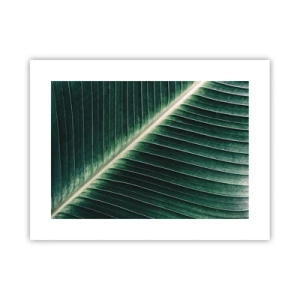 Pôster - O ritmo da natureza - 40x30 cm