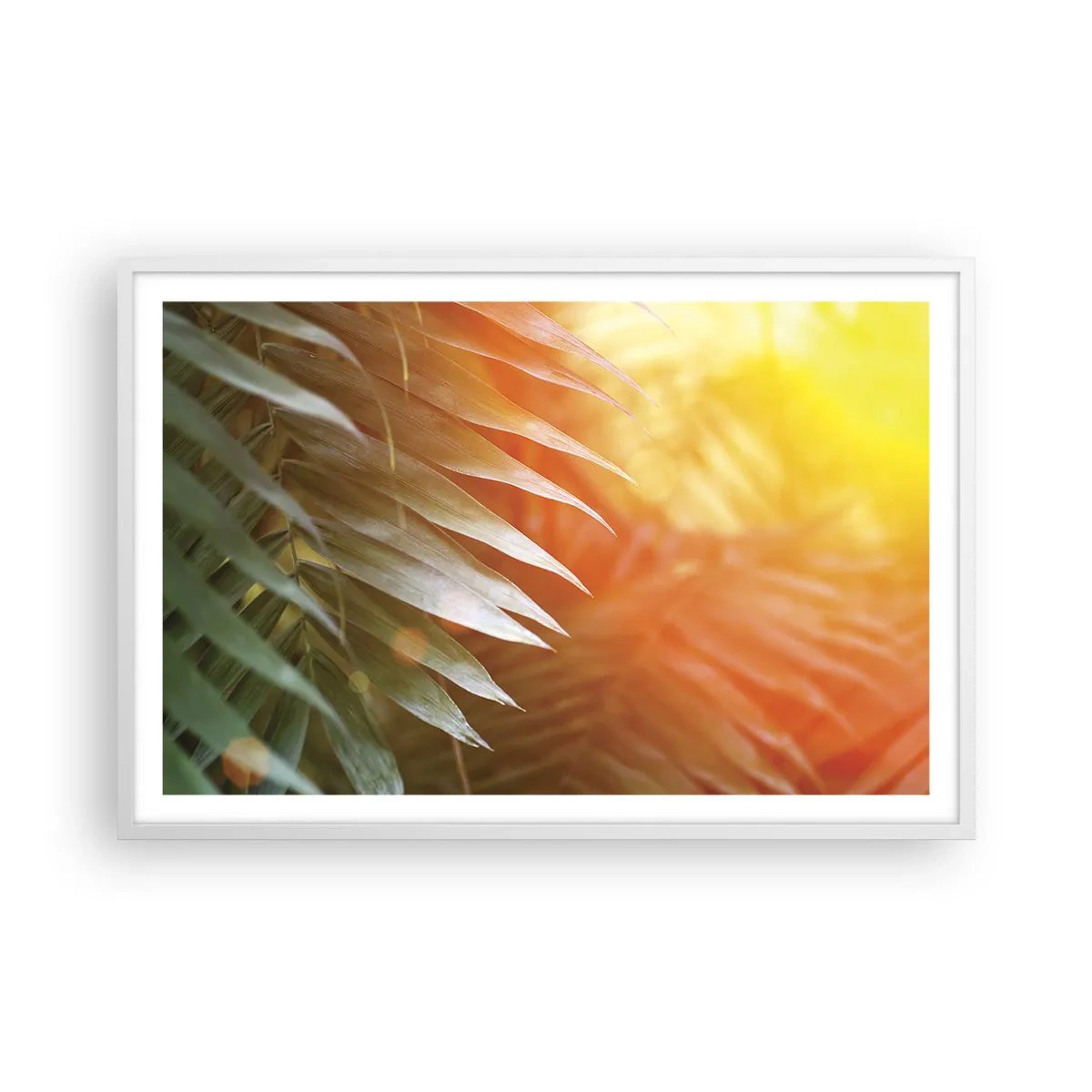 Pôster em moldura branca - Manhã na selva - 91x61 cm