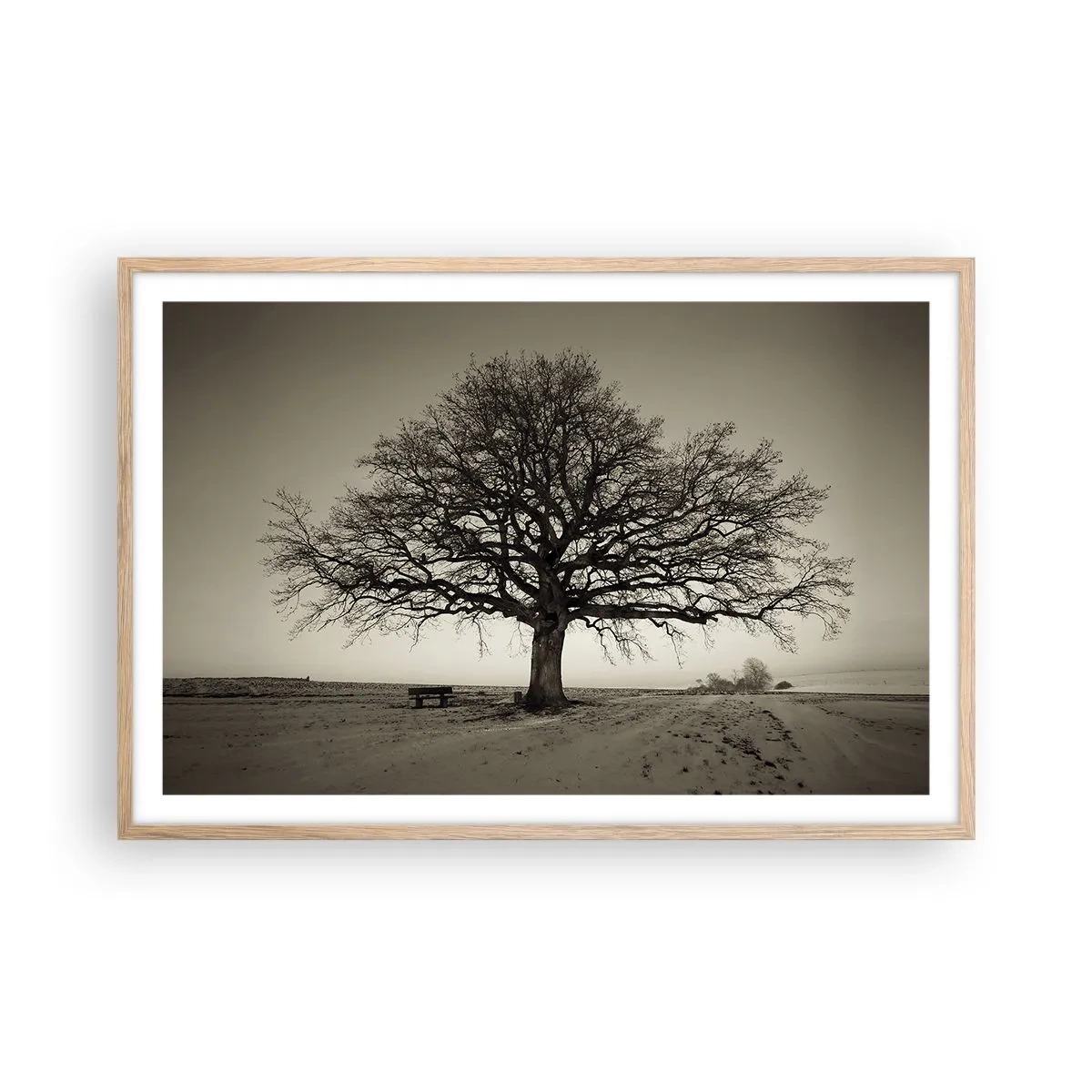 Pôster com moldura de carvalho claro - Daqui para a eternidade - 91x61 cm