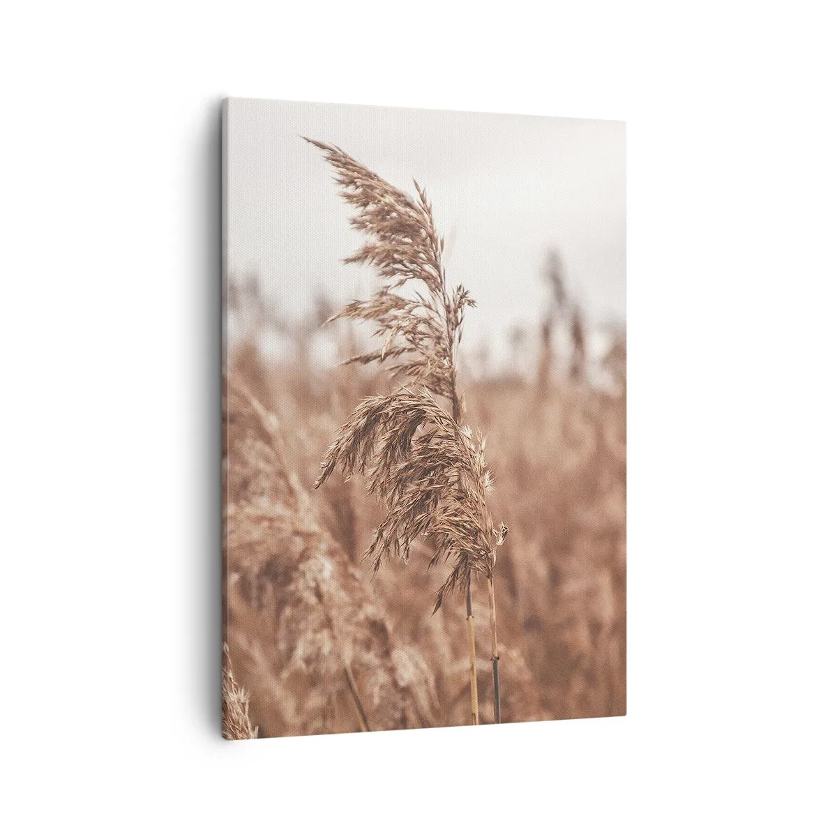 Quadro em tela - O outono já chegou ao campo - 50x70 cm