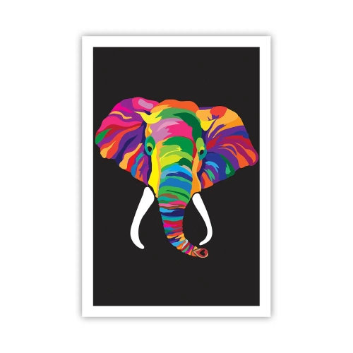Pôster - O elefante que adorava banhar-se no arco-íris - 61x91 cm