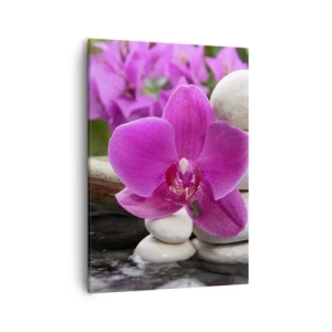 Quadro em tela - Descanso imediato - 50x70 cm