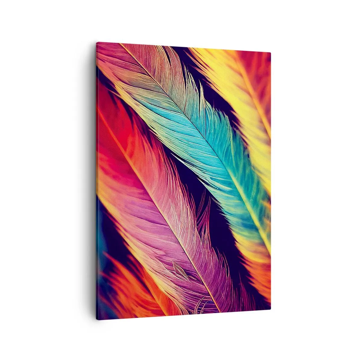 Quadro em tela - Arco-íris emplumado - 50x70 cm