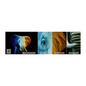 Amostra de papel de parede Premium Sand - Excêntrico, não esquisito - Abstração, Elefante, Animais - 100x30 cm