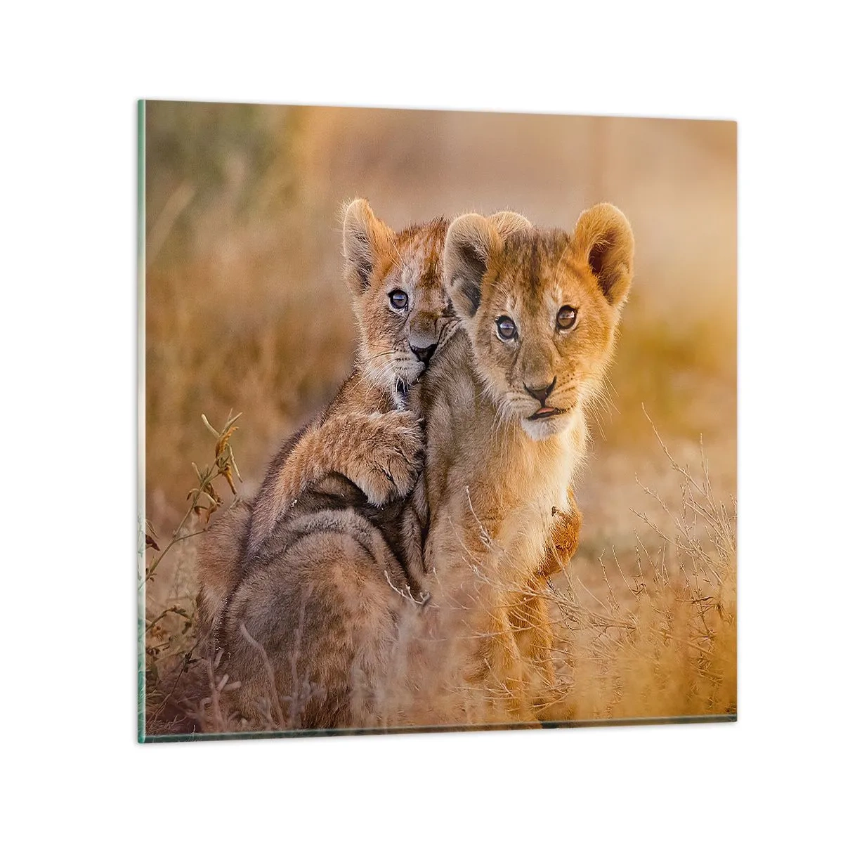 Quadro em vidro - Não perturbe! Estamos a divertir-nos - 60x60 cm