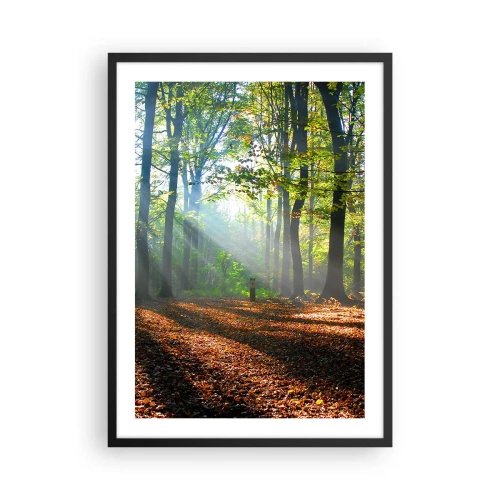 Pôster com moldura preta - Raios de sol na floresta de outono - 50x70cm - Luzes e sombras - Decoração de parede moderna para a sala de estar e quarto ARTTOR