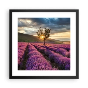 Pôster com moldura preta - Aroma lilás - 40x40 cm