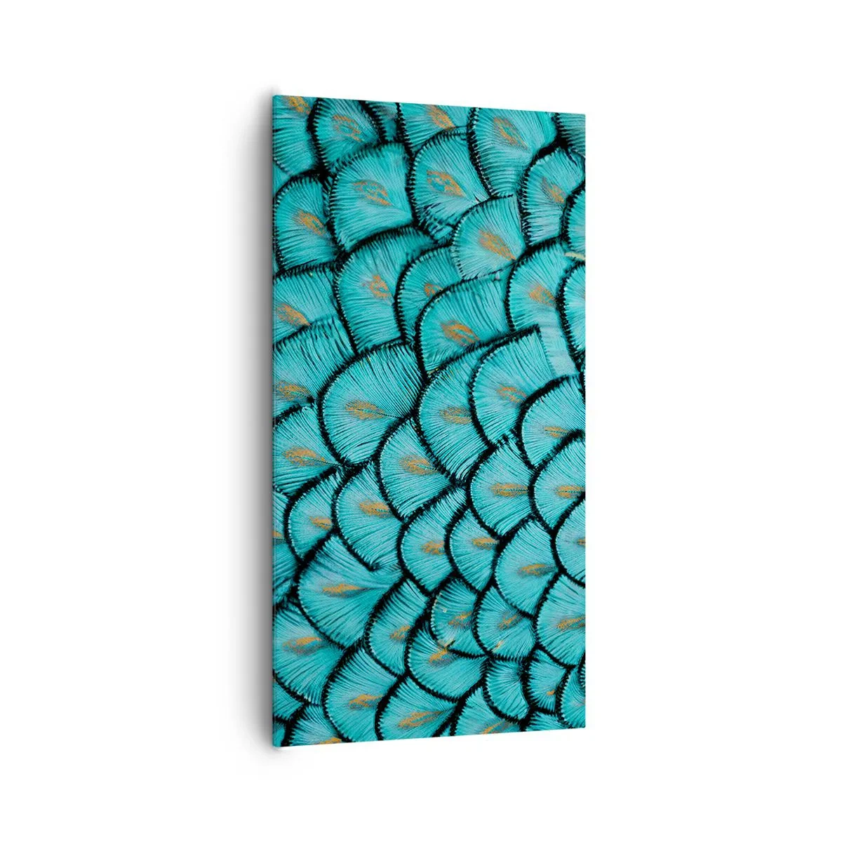 Quadro em tela - A grande gala de penas - 65x120 cm