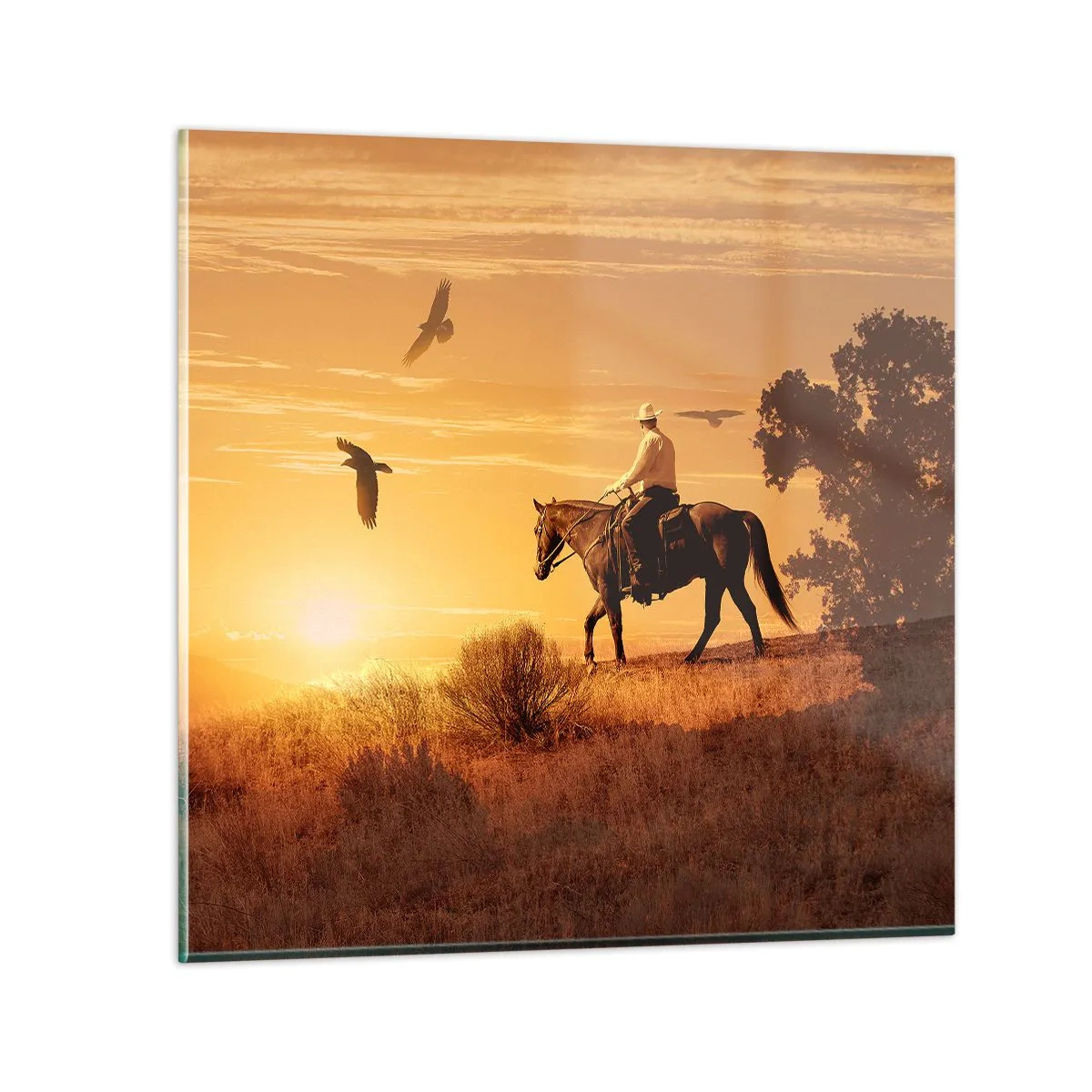 Quadro em vidro - Sozinho em toda a pradaria - 50x50 cm