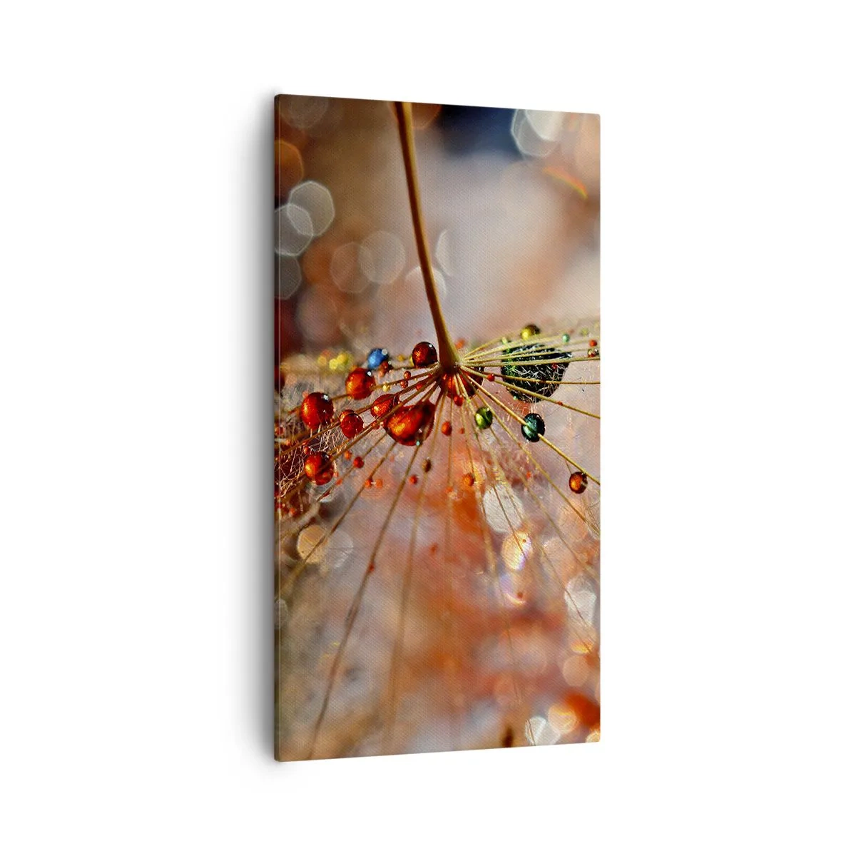 Quadro em tela - Enroscado numa teia de aranha - 55x100 cm