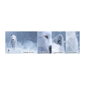 Amostra de papel de parede autocolante Deluxe Sticker - No espírito de inverno - Lobo branco, Animais, Inverno - 100x30 cm