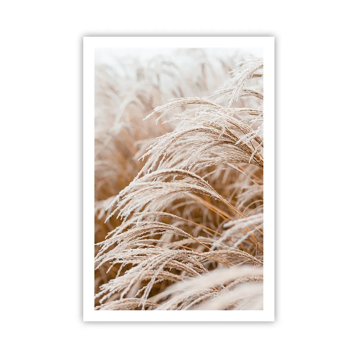 Pôster - Curvar-se ao sol de outono - 61x91 cm