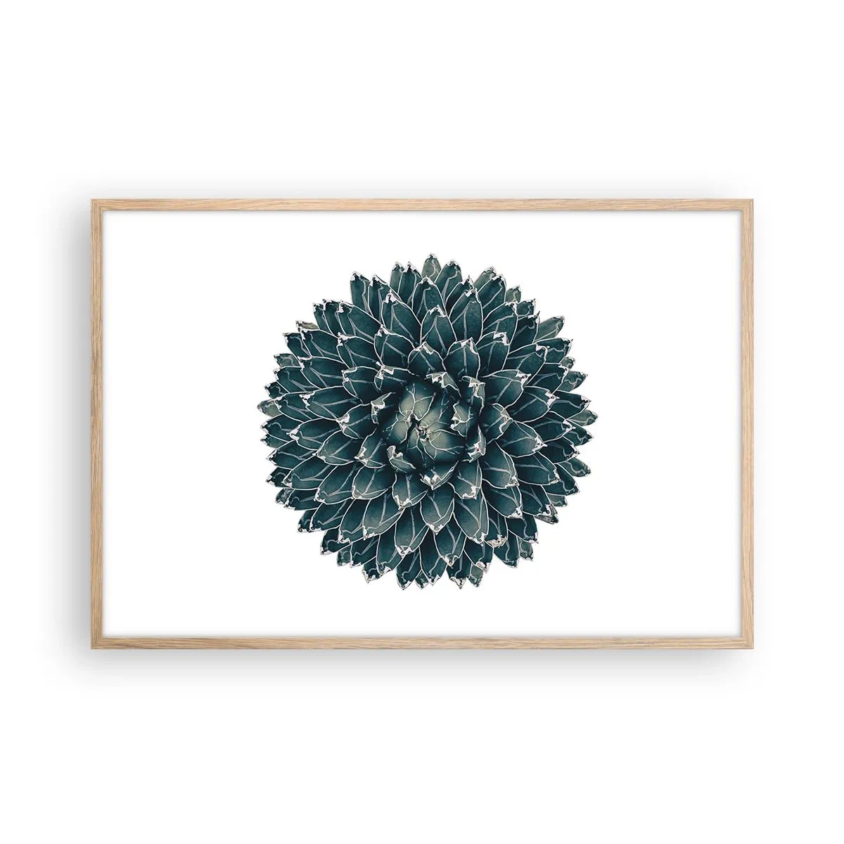 Pôster com moldura de carvalho claro - Estrela do Deserto - 91x61 cm