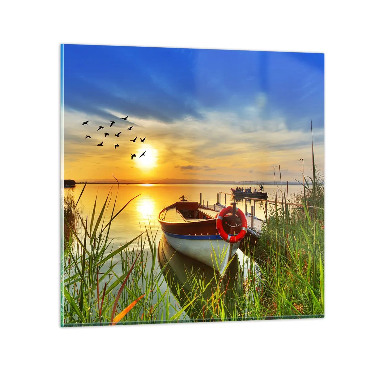 Quadro em vidro - Os corvos-marinhos já estão de saída - 70x70 cm