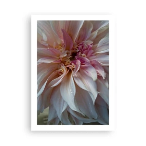 Pôster - Frescor florescente - 50x70 cm