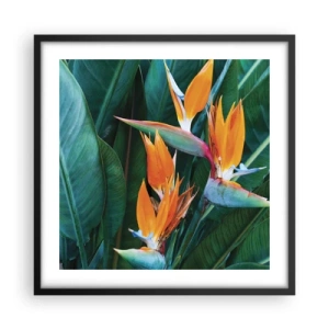 Pôster com moldura preta - É uma flor ou é um pássaro? - 50x50 cm