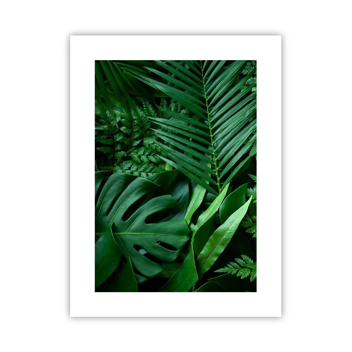 Pôster - Envolto em verde - 30x40 cm