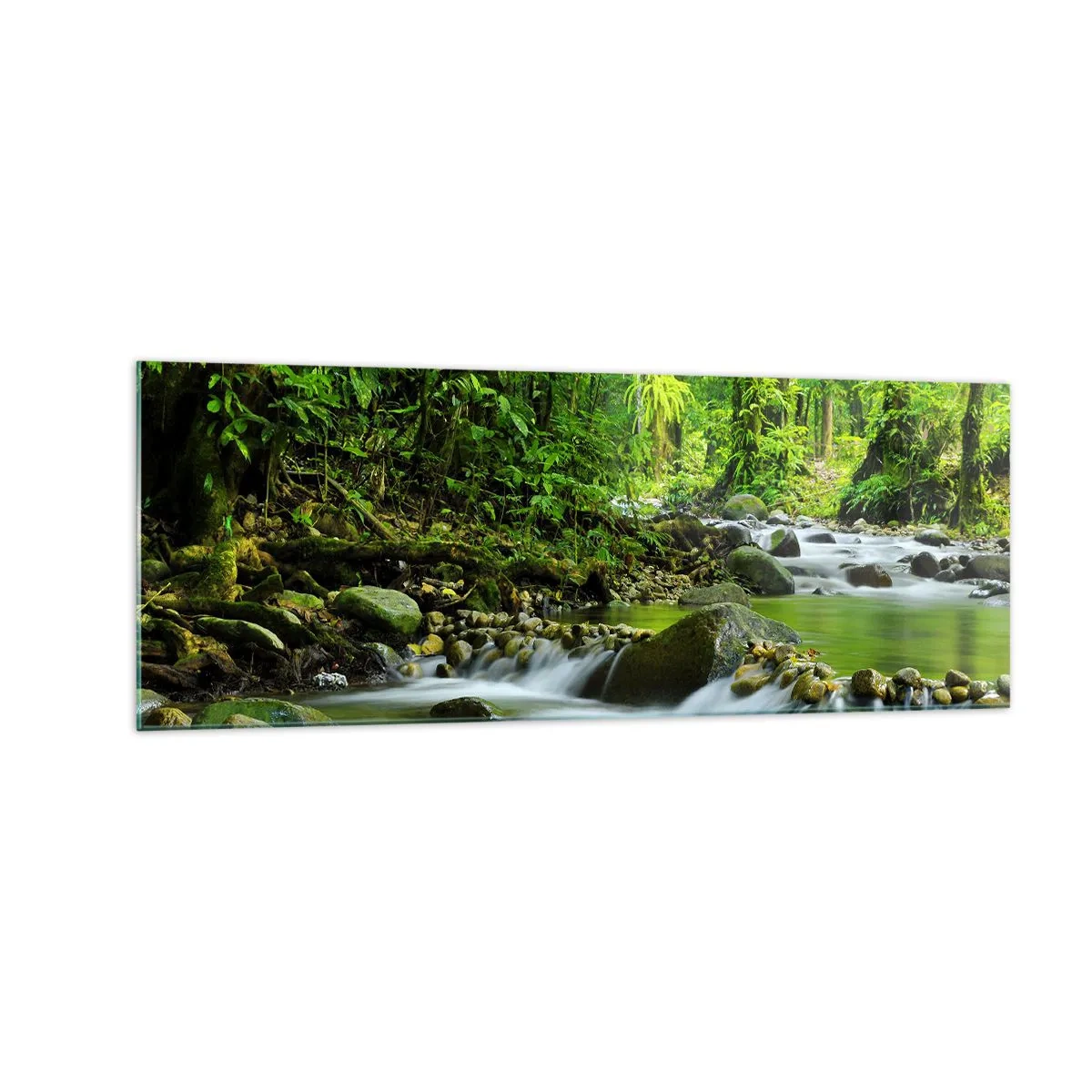 Quadro em vidro - Navegar no mar de vegetação - 140x50 cm