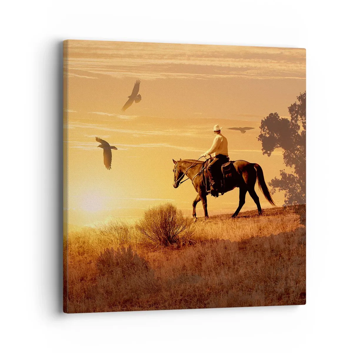 Quadro em tela - Sozinho em toda a pradaria - 40x40 cm