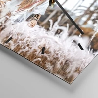 Mostrador com traços