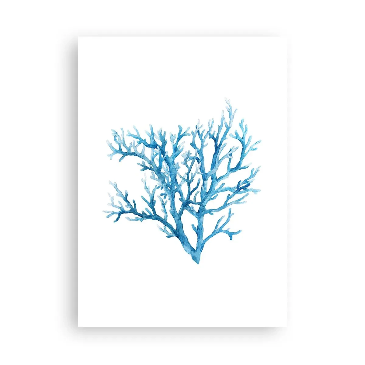 Pôster - Filigrana náutica - 50x70 cm