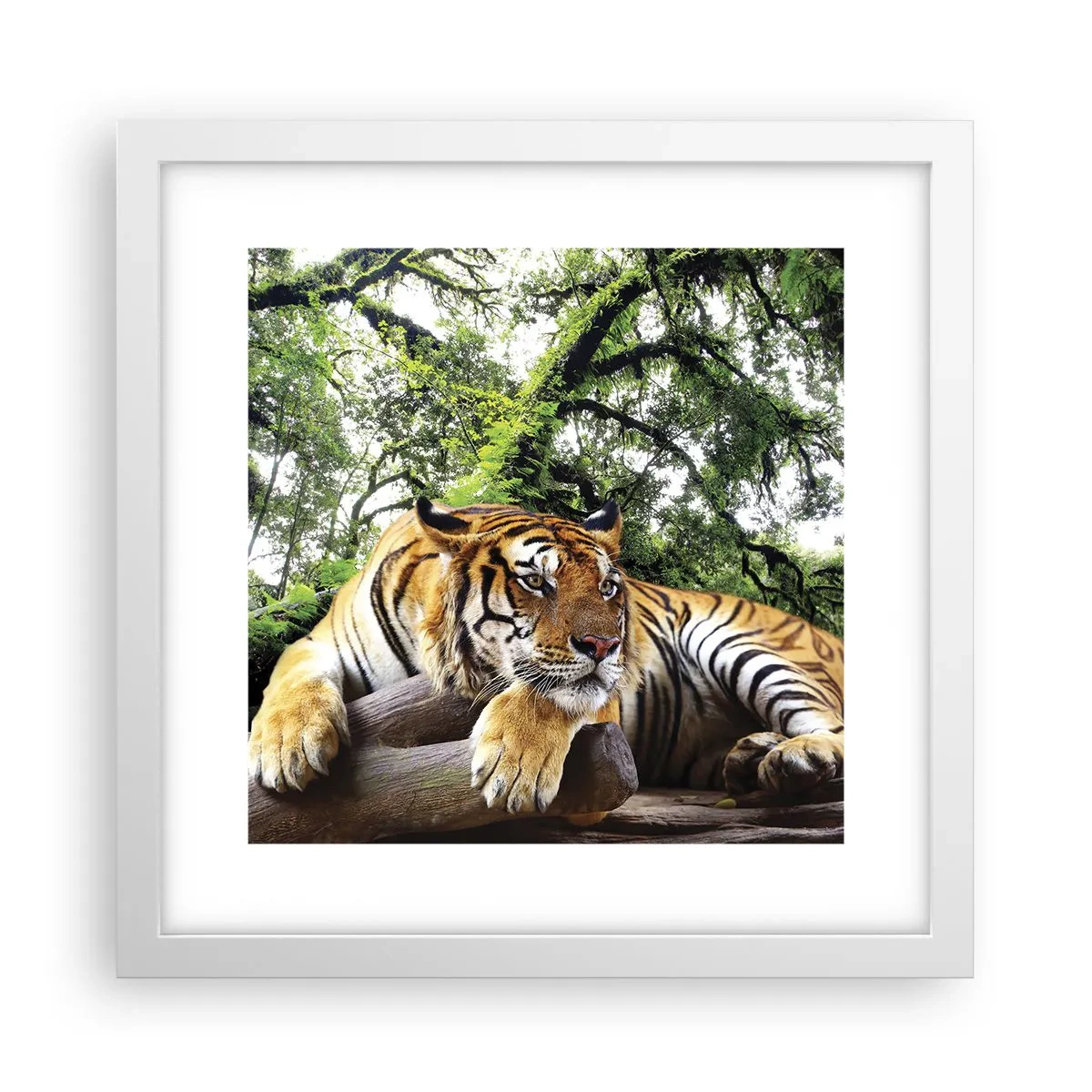 Pôster em moldura branca - Com os melhores cumprimentos - 30x30 cm