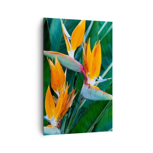 Quadro em tela - É uma flor ou é um pássaro? - 80x120 cm