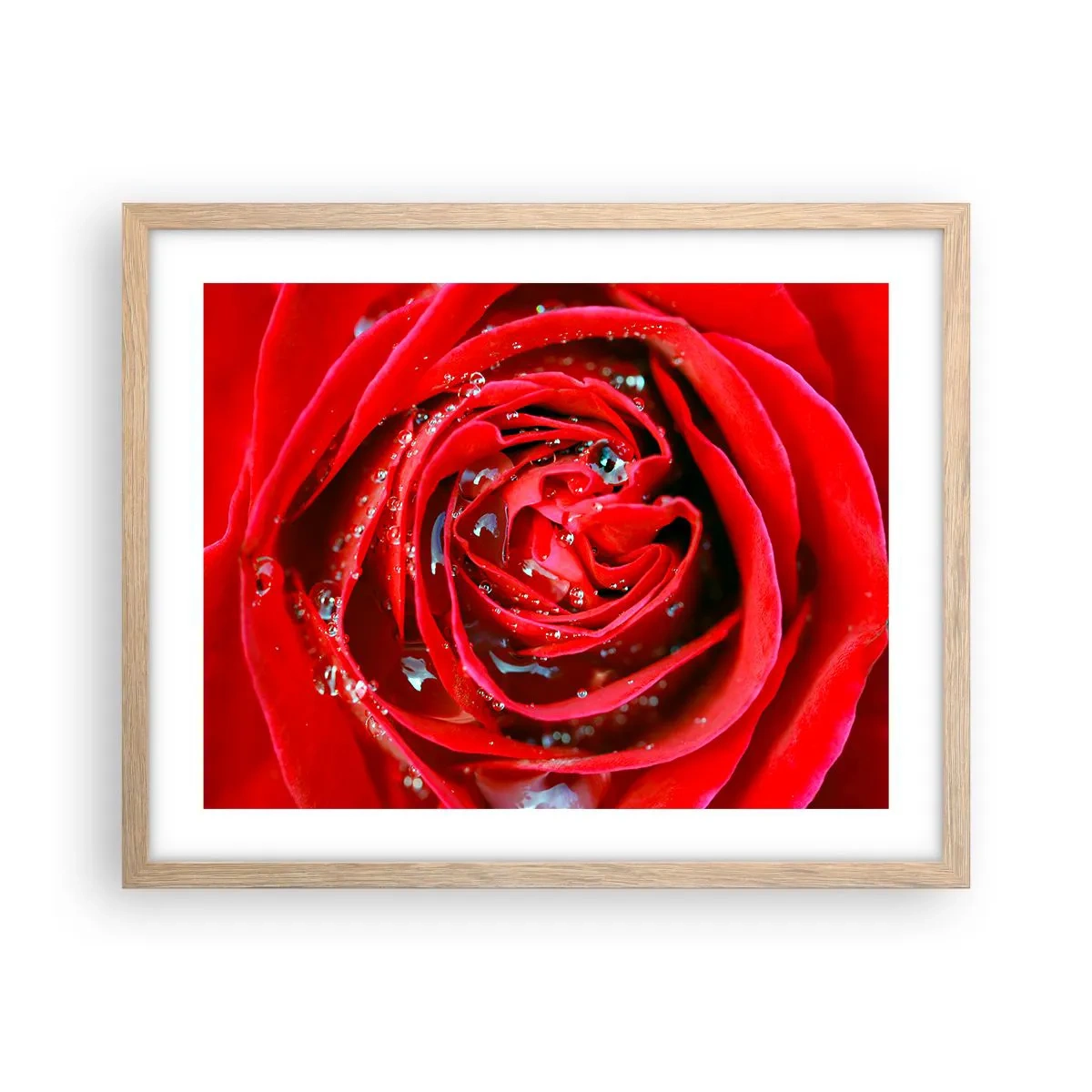 Pôster com moldura de carvalho claro - Em gotas de orvalho - 50x40 cm