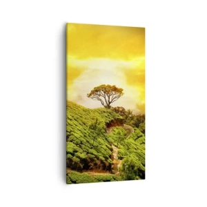 Quadro em tela - Um caminho sinuoso, uma encosta verde - 55x100 cm