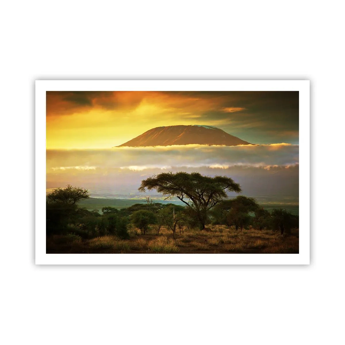 Pôster - O sonho do viajante - 91x61 cm