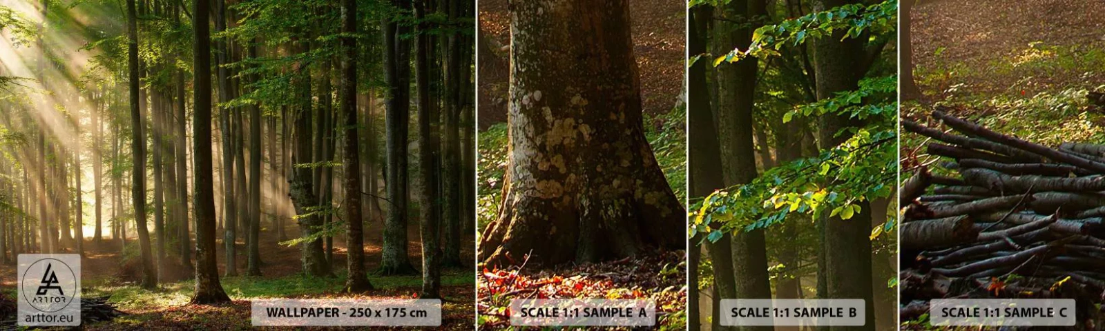 Amostra de Papel de Parede Standard Eco - Radiante em uma manhã de primavera - Paisagem, Floresta, Parque - 100x30 cm