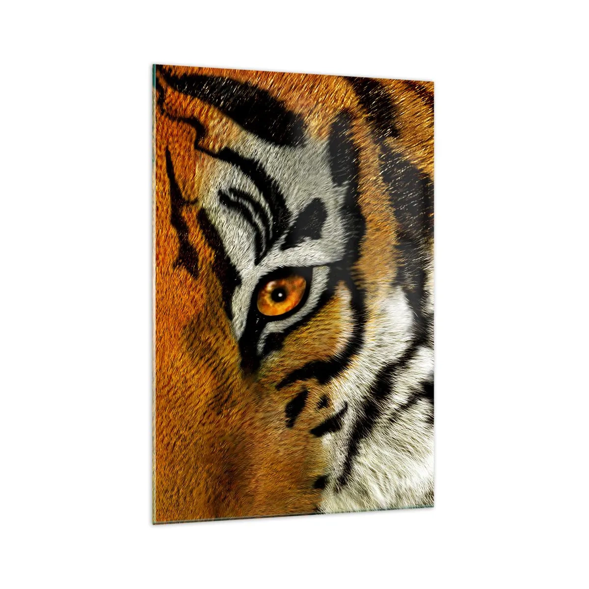 Quadro em vidro - Perigoso e bonito - 70x100 cm