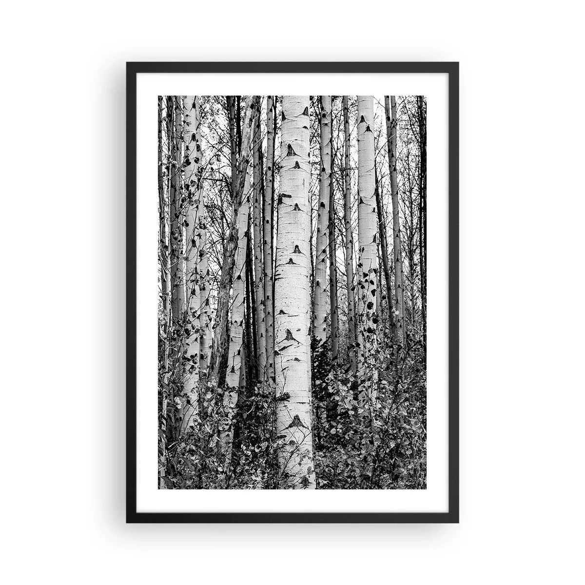 Pôster com moldura preta - Bétulas pretas e brancas formam uma floresta simétrica - 50x70cm - Colunata de bétula - Decoração de parede moderna para a sala de estar e quarto ARTTOR