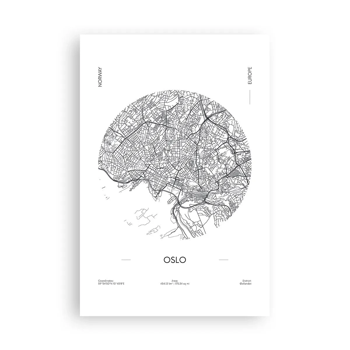 Pôster - Anatomia de Oslo - 61x91 cm