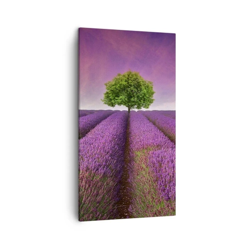 Quadro em tela - Nos campos de lavanda - 45x80 cm