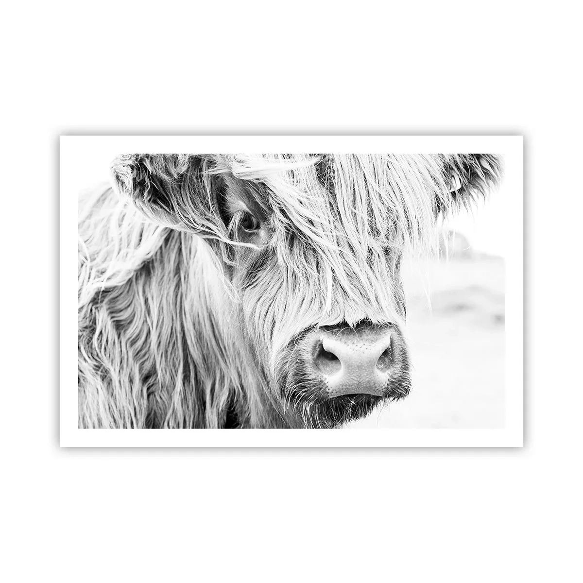 Pôster - Natureza selvagem escocesa - 91x61 cm
