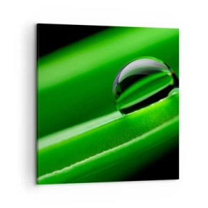 Quadro em tela - A vida de perto - 50x50 cm